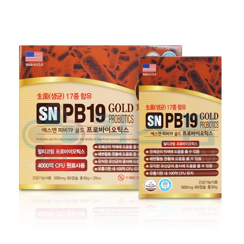 에스엔 피비19 골드 (SN PB19 GOLD) 프로바이오틱스 유산균 (60캡슐x2_4개월분) (장건강) (4000억 유산균 원료사용)